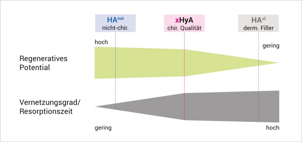 xHyA Vernetzte Hyaluronsäure