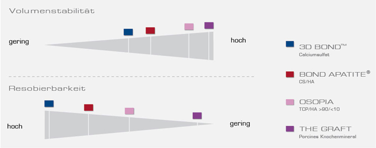 Regedent Knochenaufbau Grafik