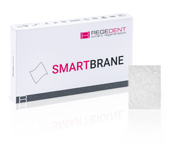 Regedent SMARTBRANE