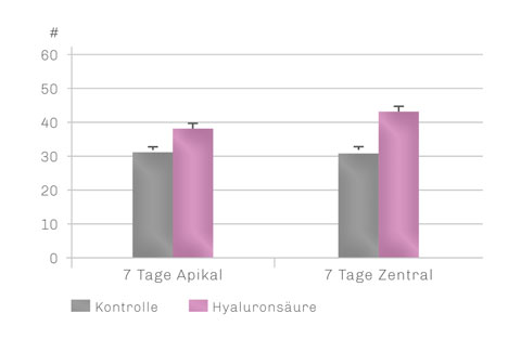 Bild Regedent hyaDENT Produkt Vorteile