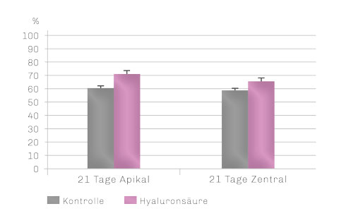 Bild Regedent hyaDENT Produkt Vorteile