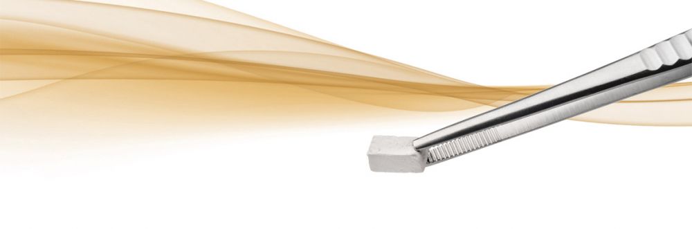 Regedent Ossix Bone